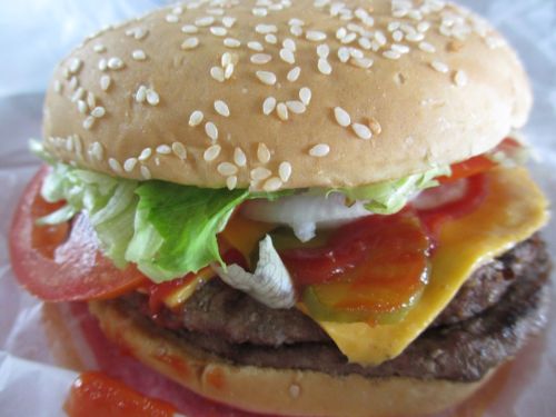 Burger 05